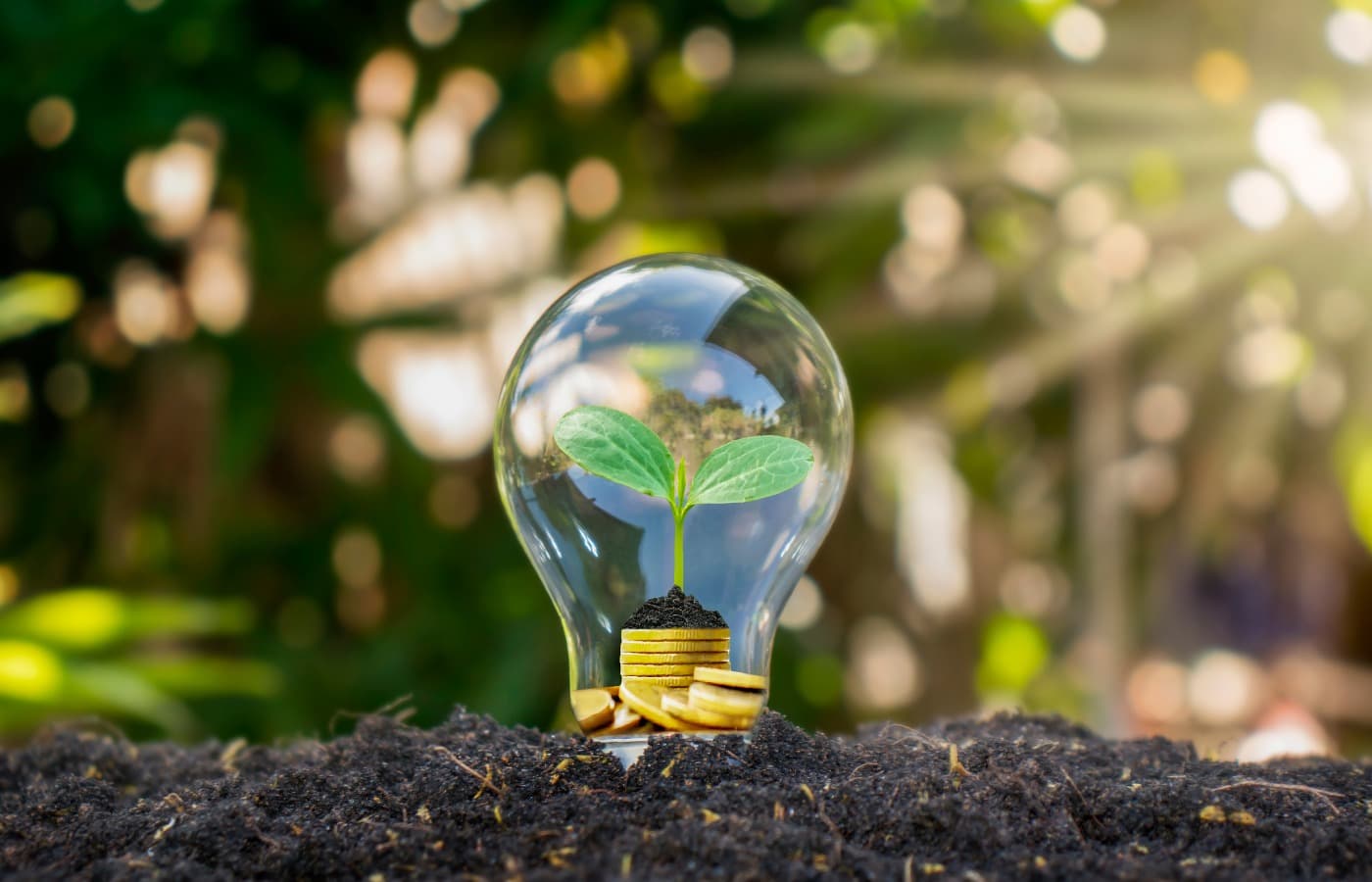How to Switch Business Energy and Reduce Costs in 2026